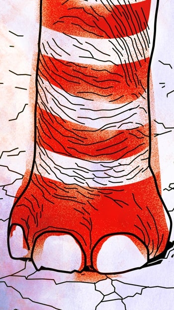 Trump, de fracaso en fracaso